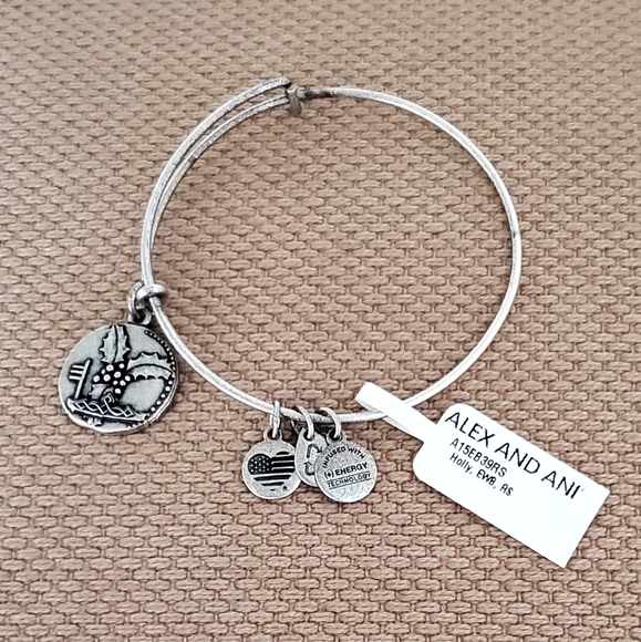 Alex and Ani Holly Charm "Determination/Guidance" Bangle Bracelet, NWT - Picture 1 of 8